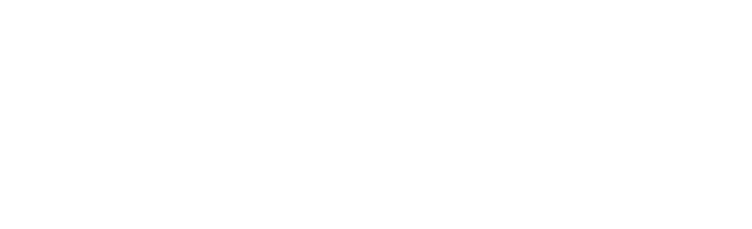 Burgess Institute Logo